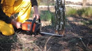 Best Weed Control  in Newton, TX