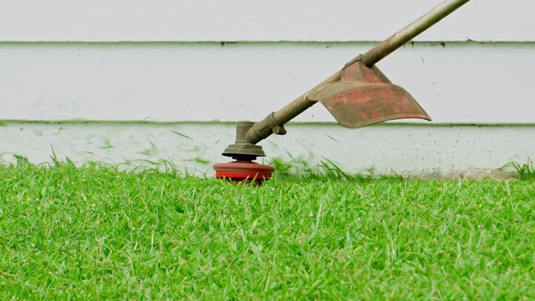 Best Lawn Grading and Leveling  in Newton, TX